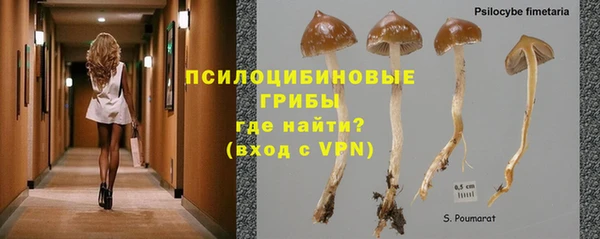 MDMA Premium VHQ Алзамай
